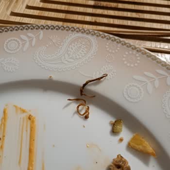 Hamburger Köftesinde Yoğun Sinir Ve Tendon Parçalarıyla Karşılaştım, Hayal Kırıklığı Yaşadım