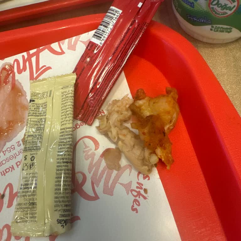 Hijyen Sorunu Ve Sağlığı Tehdit Eden Ürün Nedeniyle Ücret İadesi Ve Denetim Talebi