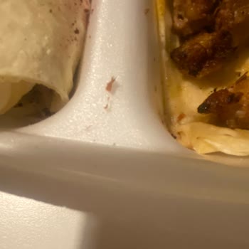 Siparişimde Hijyen Sorunu Ve Canlı Yardımda İlgisizlik Yaşadım