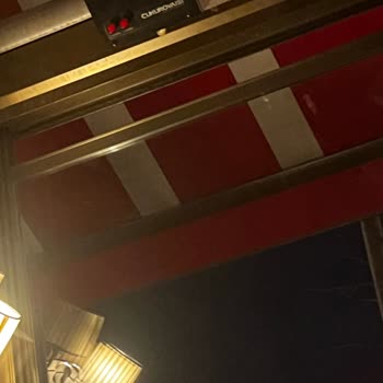 Piyalepaşa Happy Moon’s Şubesinde Hayvanlara Kötü Muamele Ve Yetersiz Hizmet Deneyimi