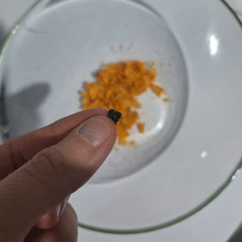 Patos Cips Paketinden Çıkan Yabancı Maddeler Güvenimi Sarstı