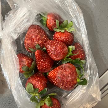 Migros Hemen’den Bozuk Ve Kokan Meyve Teslimatı, Çözüm Sunulmadı