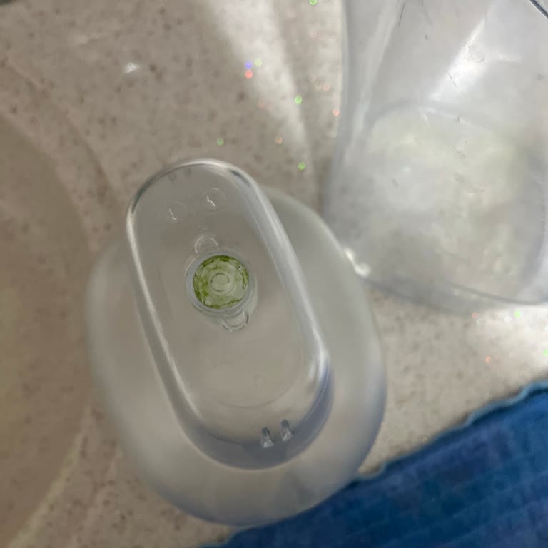 Brita Sürahide Temizlenemeyen Yosunlanma Ve Sağlık Endişesi