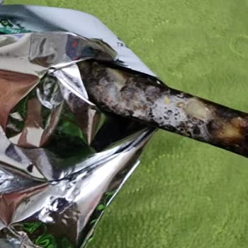 Son Kullanma Tarihi Geçmemiş Probiyotik Bar Küflü Çıktı, Sağlığım Riske Girdi