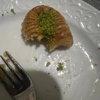 Bayat Tatlı Nedeniyle Misafirlikte Yaşadığımız Mahcubiyet Ve İade Talebimiz