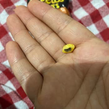 Fritolay Mini Cheetos Shots'ta Yabancı Madde: Sağlık Ve Güvenlik Endişesi