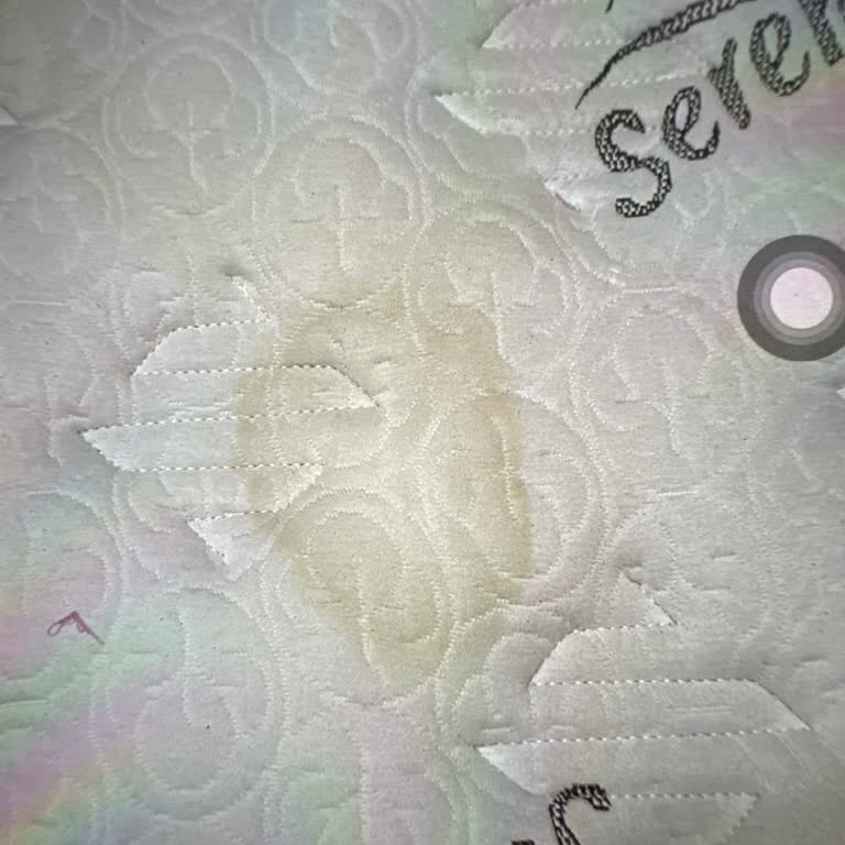 Bambi Serenity Yatakta Sağlık Sorunları Ve Hijyen Problemleri: Değişim Talebim Reddedildi