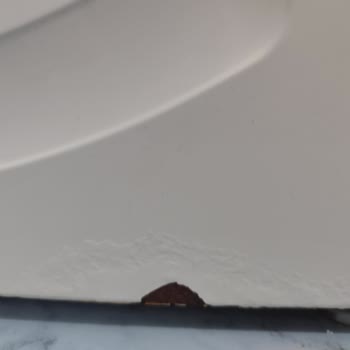 Bosch Çamaşır Makinesinde Erken Paslanma Ve Yüksek Servis Ücreti Hayal Kırıklığı