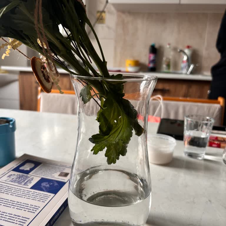 Eksik Gönderilen Papatya Siparişim İçin Çözüm Ve İade Talebim Karşılanmadı