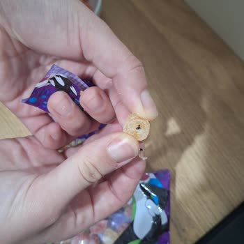 Jelibon Paketinden Çıkan Böcek Nedeniyle Sağlık Ve Hijyen Endişesi