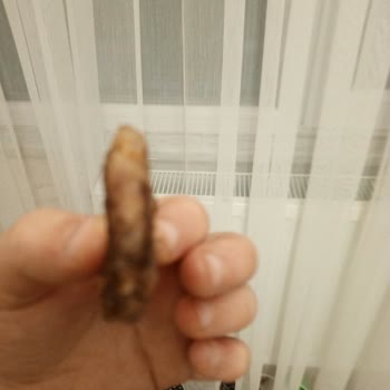 Erbaa Piknik Siparişte İnce Köfte Ve İlgisiz Hizmetle Karşılaştım!