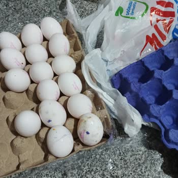 Carrefour Şubesinden Aldığım Yumurtalarda Hijyen Ve Kalite Sorunu Yaşadım