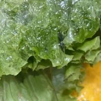 Bosch Buzdolabında Süregelen Arıza Ve Çözüm Eksikliği Nedeniyle Mağduriyet