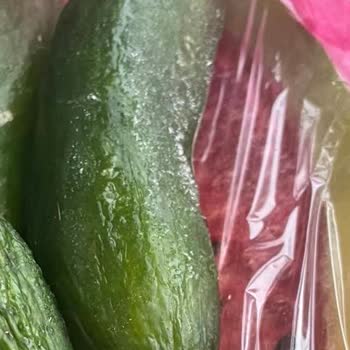 Bosch Buzdolabında Süregelen Arıza Ve Çözüm Eksikliği Nedeniyle Mağduriyet