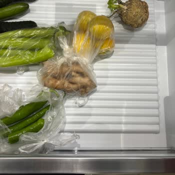 Bosch Buzdolabında Süregelen Arıza Ve Çözüm Eksikliği Nedeniyle Mağduriyet