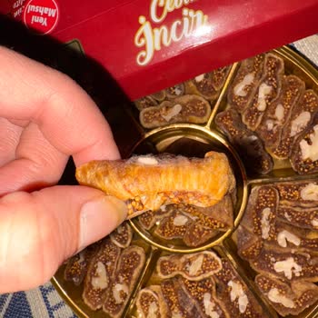 Tuğba Kuruyemiş Satın Aldığım Cevizli İncirden Kurt Çıkması Ve Hijyen Sorunu!