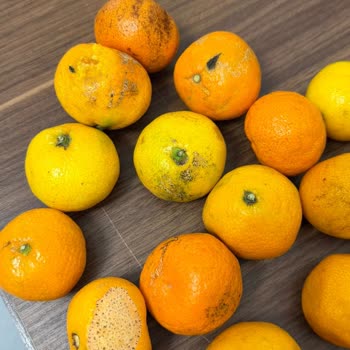 Pazaryerinde Çürük Mandalina Satışı Ve Yetersiz Denetim Şikayeti