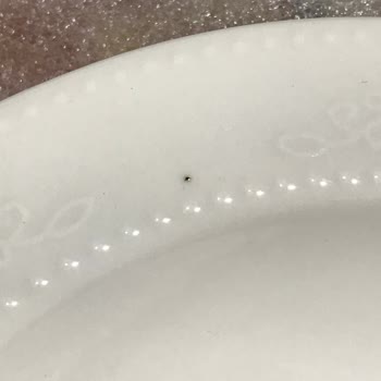 Madame Coco'dan Aldığım Yemek Takımında Kırık Ve Lekeli Parça Sorunu: Eksiksiz Ürün Talebim