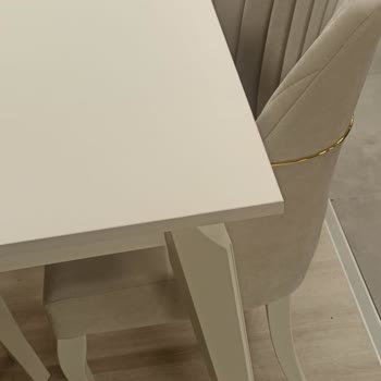 Beğendiğim Vizon Sandalyeler Yerine Gri Ürün Gönderildi, Mağduriyetim Giderilmiyor