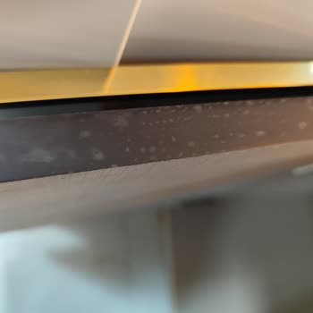 Mardin Çelik Temizlik'ten Şikayetçiyim