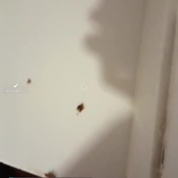 Şanlıurfa Araştırma Hastanesi Haşere Sorunu