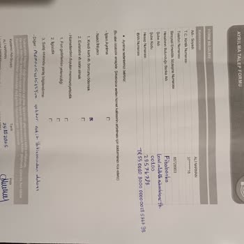 BES Çıkışında Haksız Kesinti Ve Gecikmeli Ödeme Mağduriyeti