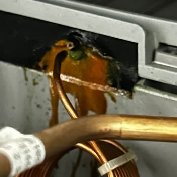 Arçelik Kurutma Makinesi 4 Yılda Bozuldu, Yüksek Onarım Ücreti Ve İlgisizlik!