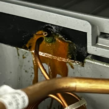 Arçelik Kurutma Makinesi 4 Yılda Bozuldu, Yüksek Onarım Ücreti Ve İlgisizlik!