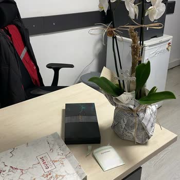 Yanlış Ürün Gönderimi Ve Yetersiz Çözüm: Çiçek Sepeti'nden Hayal Kırıklığı