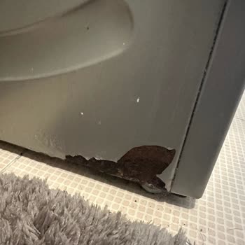 Bosch Çamaşır Makinesinde Boya Kalkması Ve Paslanma Şikayeti