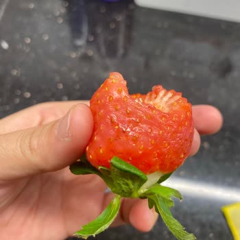 Getir Büyük’ten Bozuk Ürünler Ve Yetersiz İade Süreci Hayal Kırıklığı Yarattı