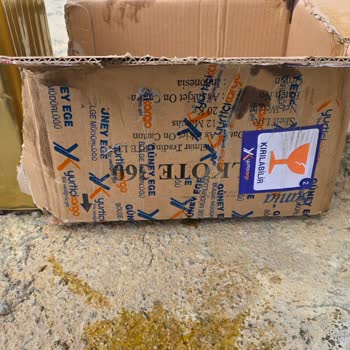 Yurtiçi Kargo Şubesinde Hasarlı Teslimat ve Ürün Zayiatı