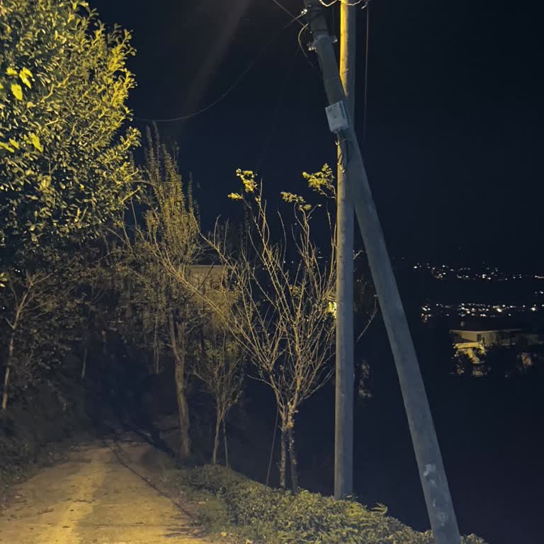 Devrilen Direk Nedeniyle Günlerdir İnternetsiz Kaldım, Sorunum Hâlâ Çözülmedi