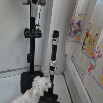 Vestel S70 Süpürgede Kronik Boru Kırılması Ve Yüksek Onarım Ücreti Mağduriyeti