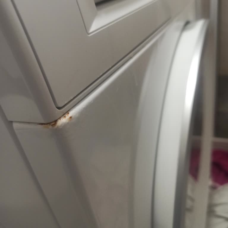 Bosch Çamaşır Makinem 3 Yılda Paslandı, Hayal Kırıklığı Yaşıyorum