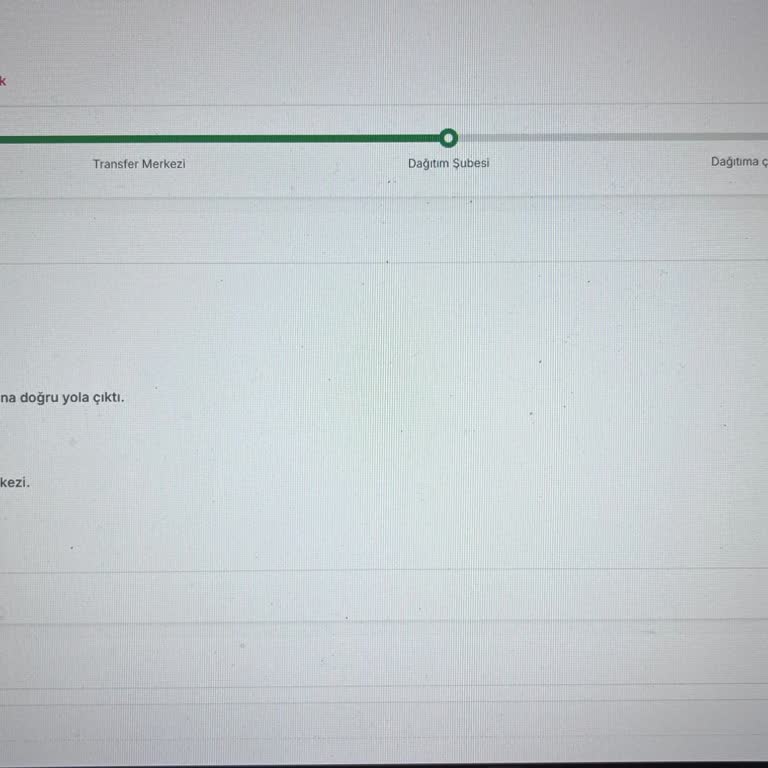 Sürat Kargo İzmir Bayraklı Şubesinde Teslimat Sorunu Ve İletişimsizlik