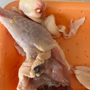 Migros Sanal Market'ten Aldığım Tavuk Küflü Ve Tüketilemez Durumdaydı