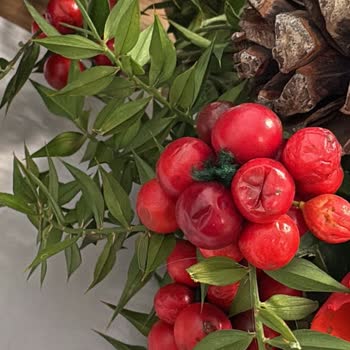 Çiçek Sepeti'nden Gelen Kokina Demeti Çürük Ve Ezik Çıktı