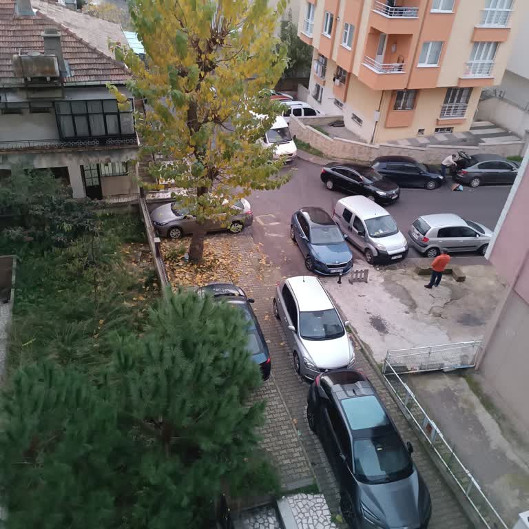 İstanbul Büyükşehir Belediyesi Engelli Araç Park Yeri Talebim Belediyeler Arasında Cevapsız Kalıyor