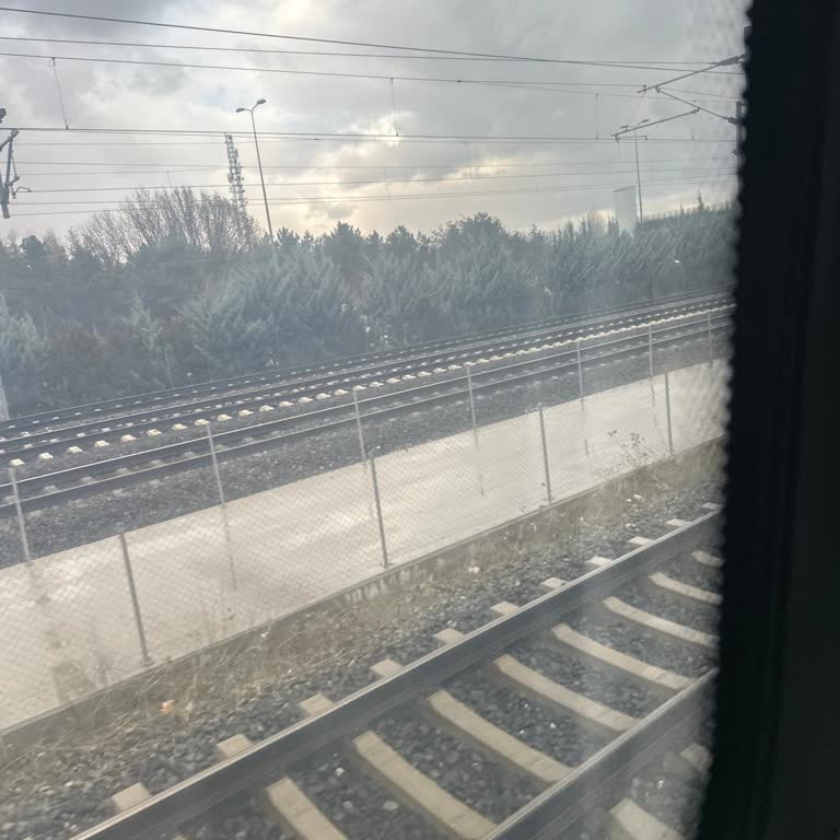 Yanlış Koltuk Yönü Bilgisiyle Mağduriyet Ve Müşteri Memnuniyetsizliği