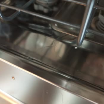 Vestel 5312 Wi-Fi Bulaşık Makinesi: Yetersiz Kurutma Performansı Ve Servis Sürecinde Müşteri Memnuniyetsizliği