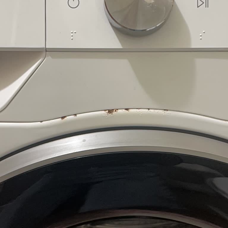 3 Yıllık Çamaşır Makinesinde Paslanma Ve Garanti Mağduriyeti