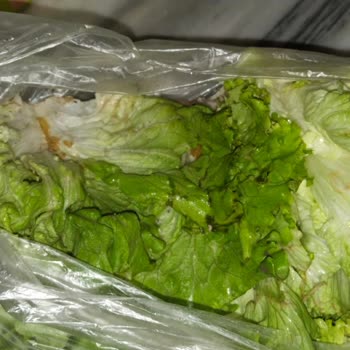 Onur Market Gemlik Şubesinde Satılan Yeşilliklerin Çürük Ve Hijyensiz Olması