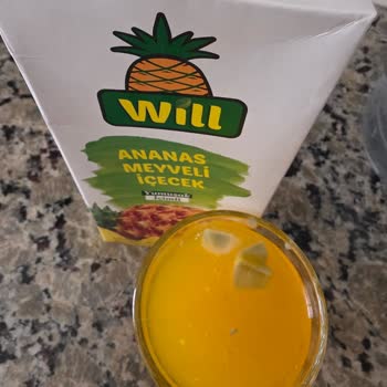 Buzdolabında Saklanan Ananaslı İçecek 1 Günde Bozuldu, Sağlık Riski Oluştu