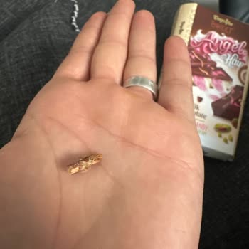 Beyoğlu Çikolatada Tahta Parçası: Gıda Güvenliğinde Büyük Risk Ve Hayal Kırıklığı