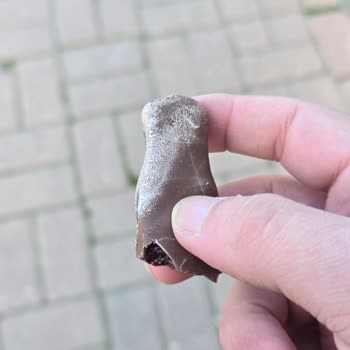 Yupo Çokojelo'da Şüpheli Beyazlıklar: Sağlık Ve Hijyen Endişesi