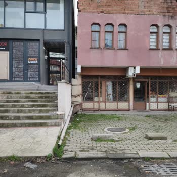 Kış Ortasında Sivrisinek İstilası Ve Sağlığımız Tehdit Altında