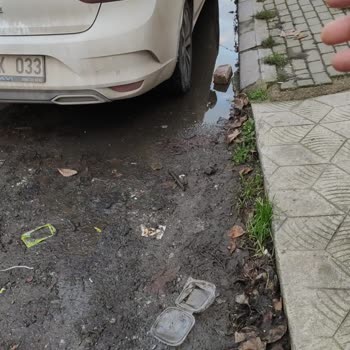 Kış Ortasında Sivrisinek İstilası Ve Sağlığımız Tehdit Altında