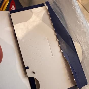 Barilla Makarnada Böcek Çıkması Güvenimizi Sarstı, Açıklama Ve Çözüm Bekliyoruz