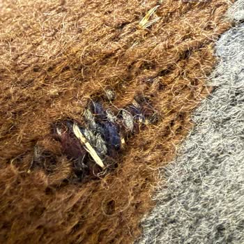 Beymen Club Hırkam Üç Kullanımda Deforme Oldu, Çözüm Bekliyorum!